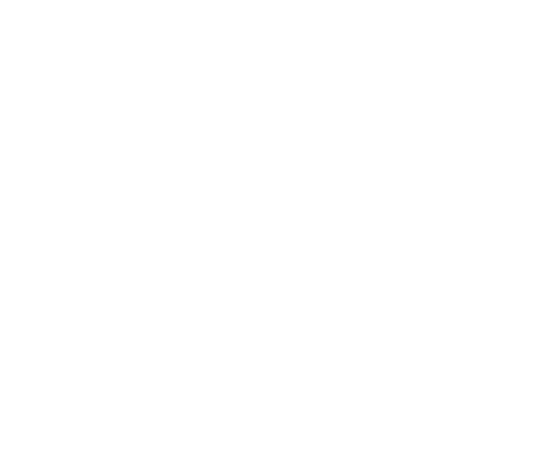 Commercial Agility Icon