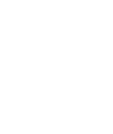 Reliability Icon